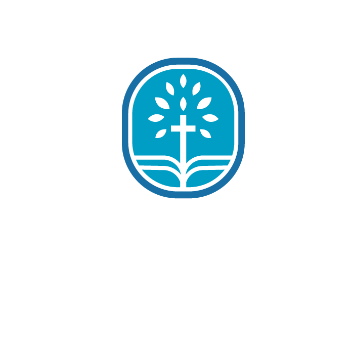 HYDS
